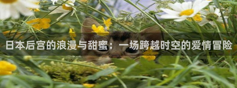 omofun动漫免费观看官网