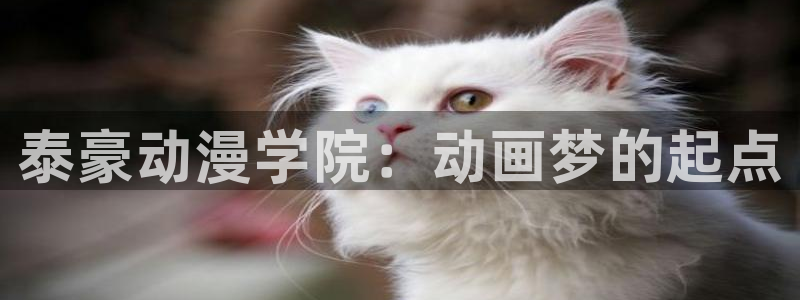 女神降临omofun动漫