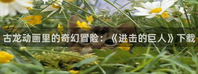 omofun下载官网：古龙动画里的奇幻冒险：《进击的巨人》下载