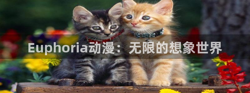 omofun官网网站入口：Euphoria动漫：无限的想象世界