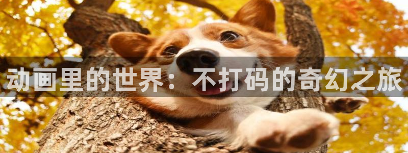 omofun官网正版：动画里的世界：不打码的奇幻之旅