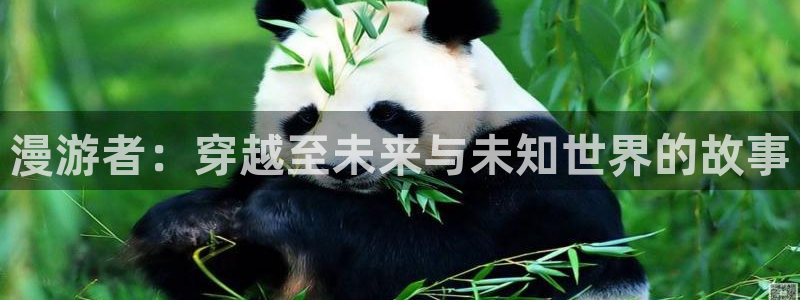 omofun动漫一个：漫游者：穿越至未来与未知世界的故事