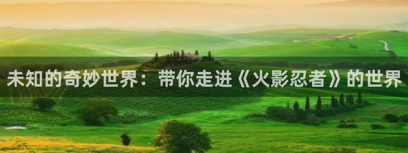 omofun全新：未知的奇妙世界：带你走进《火影忍者》的世界