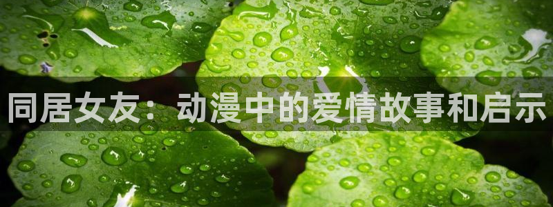 omofun怎么下：同居女友：动漫中的爱情故事和启示