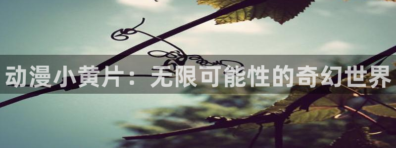 omofun下载app：动漫小黄片：无限可能性的奇幻世界