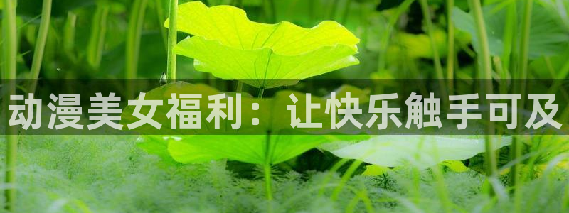 omofun官网正版入口：动漫美女福利：让快乐触手可及