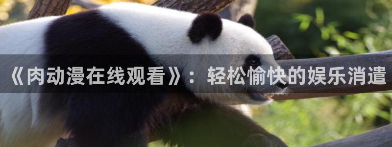 omofun动漫官方下载app：《肉动漫在线观看》：轻松愉快的娱乐消遣