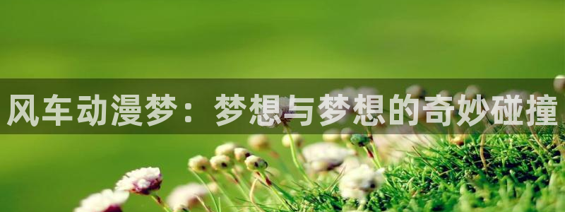 omofun动漫官网入口网址：风车动漫梦：梦想与梦想的奇妙碰撞