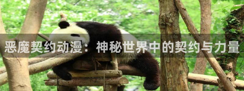 omofun免费看动漫：恶魔契约动漫：神秘世界中的契约与力量