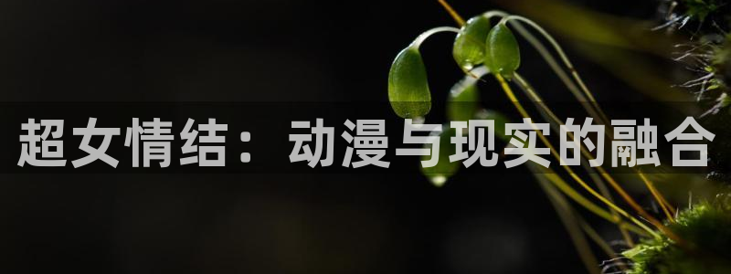 动漫共和国(omofun)官网