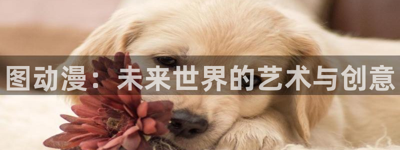 omofun下载官方正版网站