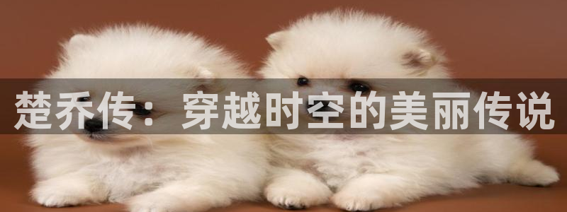 omofun网页版进入