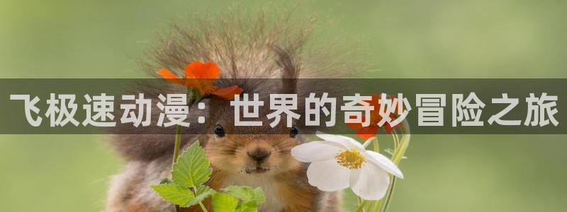 omofun动漫网站