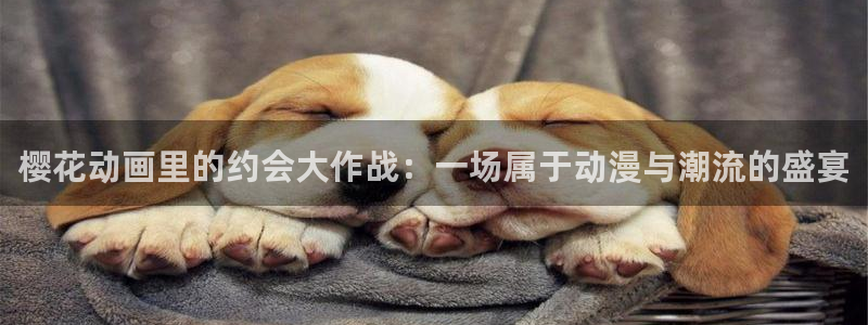 omofun官网下载最新版