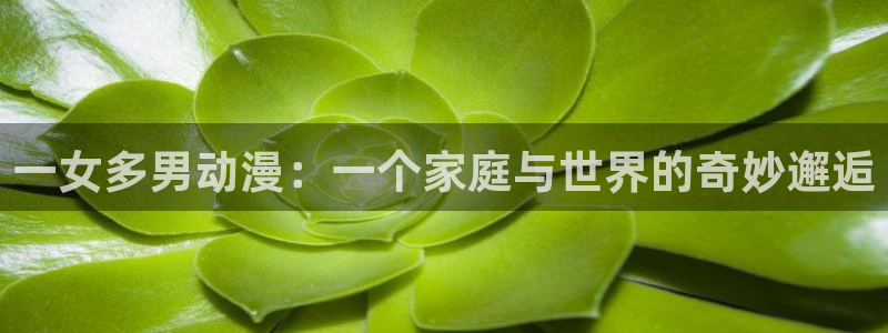omofun官网网站入口