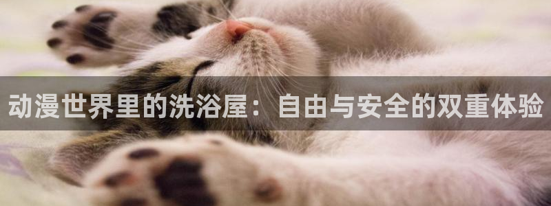 omofun最新官方下载：动漫世界里的洗浴屋：自由与安全的双重体验