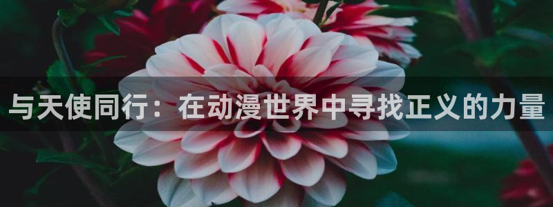 omofun动漫官网下载