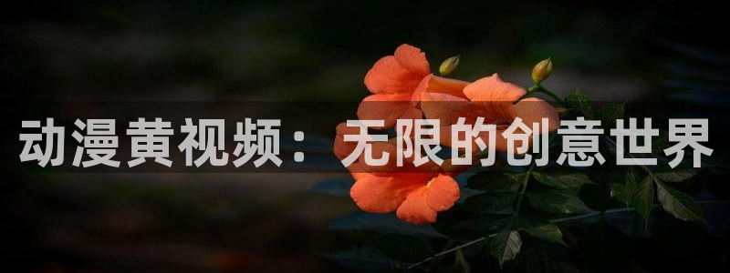 omofun官方版网页