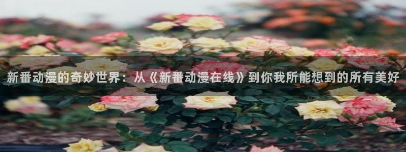 omofun动漫网页版