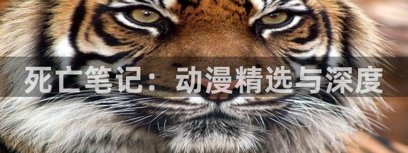 omofun苹果版
