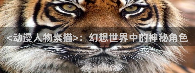 omofun动漫app