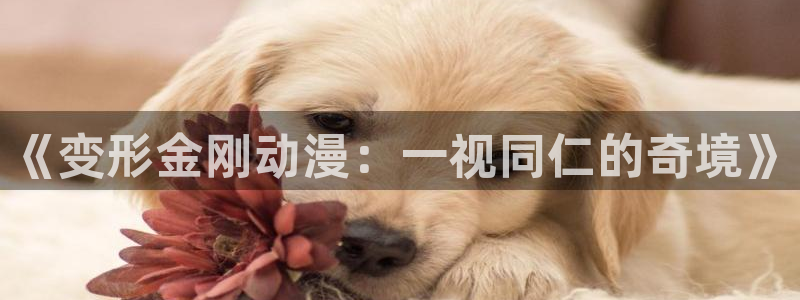 omofun纯净版无广告：《变形金刚动漫：一视同仁的奇境》