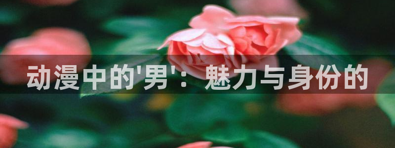 omofun全新：动漫中的\'男\'：魅力与身份的