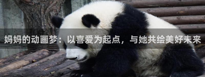 omofun官网正版入口：妈妈的动画梦：以喜爱为起点，与她共绘美好未来