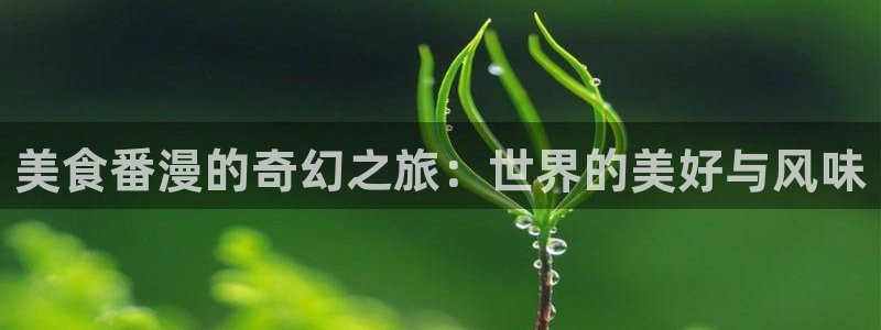 omofun动漫网站：美食番漫的奇幻之旅：世界的美好与风味